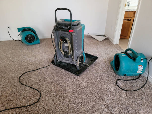 Best 24-hour water damage restoration  in Buena Vista, GA