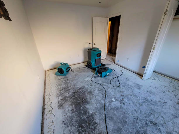 Best Commercial water damage restoration  in Buena Vista, GA