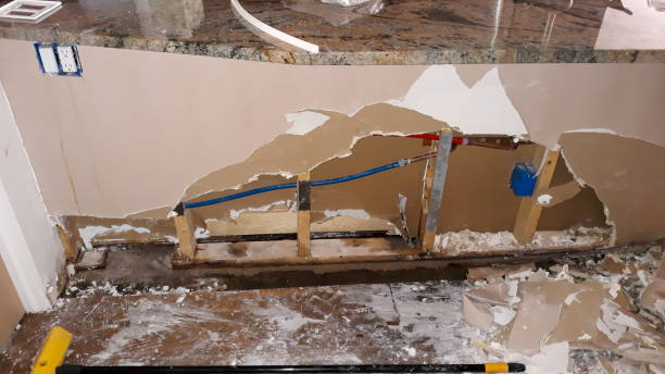 Best Water damage restoration cost  in Buena Vista, GA