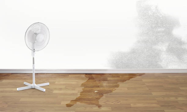 Best 24/7 water damage repair  in Buena Vista, GA