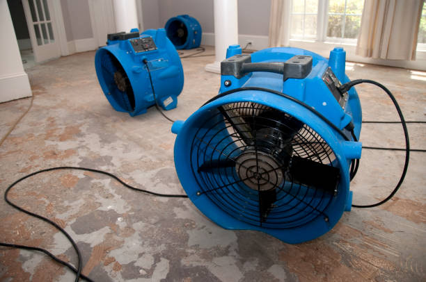 Best Professional water damage repair  in Buena Vista, GA