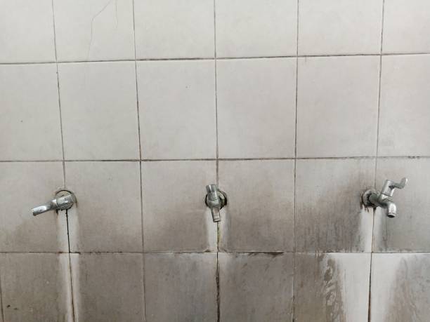 Best Water damage restoration experts  in Buena Vista, GA