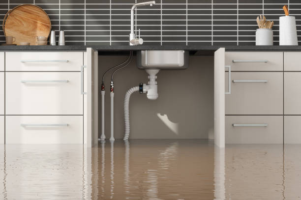  Buena Vista, GA Water damage restoration Pros